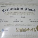 종주코스길(도구가서길) | 제주도 자전거 종주 : 찐 경험자가 알려주는 준비물, 자전거 대여, 가성비 숙소 &amp; 맛집 총정리!