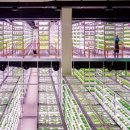 전일농장 이미지