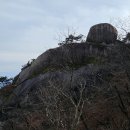 염소마당 티스토리