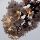 연지공원1 이미지