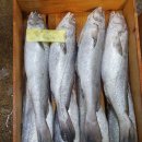 8월 10일(수) 목포는항구다 생선카페 판매생선[ 민어(통치), 먹갈치 / "예약" (건조)고등어, 간장게장, 흰다리새우, 고춧가루 ] 이미지