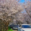 춘포신촌경로당 이미지