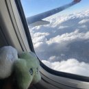 대청농업협동조합 안남지점 하나로마트 | 혼저옵서예1(with WICHU)