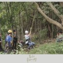 시소곡성