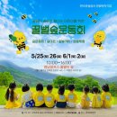 울산 강아지 산책로 추천 :: 24년 6월 영남알프스 숲페스타 축제에서 메밀꽃밭 구경하기