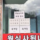 대가야 생선구이 정식 | [경북 고령군] 대가야생선구이정식 방문 후기 (모듬 생선구이 정식)