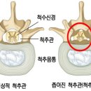 [아름다운 노년생활(老年生活) - 적극적(積極的)으로 참여(參與)하라] 이미지