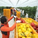 주식회사별하 이미지