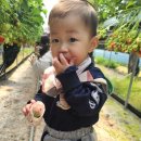 은별농장 이미지