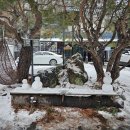 무주 | [전라북도] 무주 백암산장 펜션 여행후기(내돈내산) : 무주스키장 근처 가성비 좋은 곳
