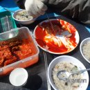 회진피싱 Daum카페
