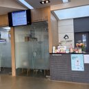 마곡나무 동물병원 | 과잉 진료 없는 동물 병원 추천 '마곡나무동물병원'