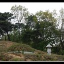 신한장