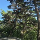 개목사 - 1680 | 안동 개목사 원통전 방문 후기