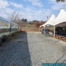 건영승마장 이미지