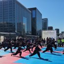 용인대 맹호합기도 이미지