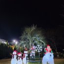 완도LOWA 이미지