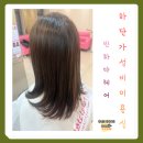 동아대학교 승학캠퍼스 | 하단 미용실 반하다헤어 중단발C컬펌 후기