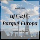 아르도스