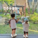 전주 아이와 가볼만한 곳, 전주동물원·드림랜드 방문 후기