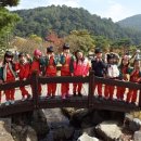 형남초등학교 병설유치원 이미지