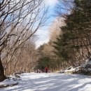 구천동농협 하나로마트 본점 이미지