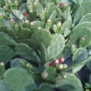 양달농장 이미지