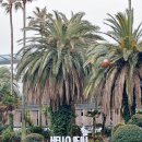 (주)제주프리투어 이미지