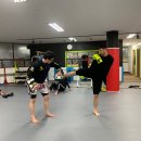 라운드하우스