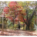 각화저수지 이미지