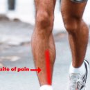 스프린트 PT 이미지