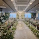 베뉴비안 이미지