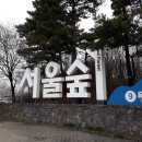 느티나무길>금강공원길 Daum카페
