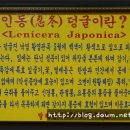 남도 홍탁 이미지