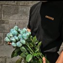 대명천로 이미지