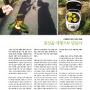 여행을만들다 이미지