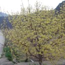 판운1리마을회관 이미지