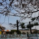 성북교 좌측 이미지