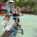 용인대 동양합기도 이미지