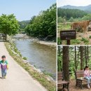 신성리생태공원 | [2026년 5월 연휴] 전국 눈치게임 성공 여행지 TOP30, 쌍둥이 아빠의 피땀눈물 리스트