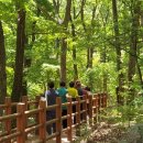 대운상대길 이미지