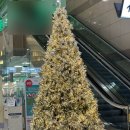 톰앤키티 | 중국 칭다오 2박3일 자유 여행기+ 현실적인 겨울여행 꿀팁