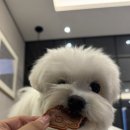 유빈약국