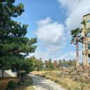 동백바다 이미지