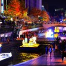 초원꽃집 이미지