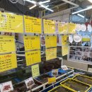 은송야채 | 포장인데도 싱싱하고 맘카페에서도 인정 받은 강릉 은총횟집 (온누리결제 가능)