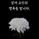 이광용치과의원 이미지