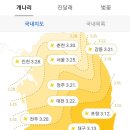 2023년 봄꽃 개화시기 이미지