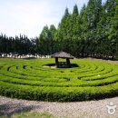 금산지구별그림책마을 이미지