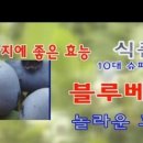 청양친환경블루베리농장
